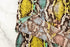 Pink and Green Multi Snake Print ITY Knit Fabric Remnant 3.5 yards